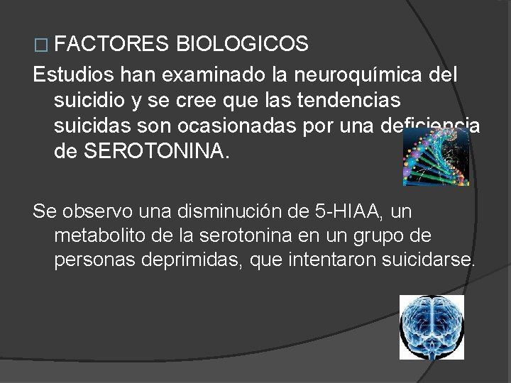 � FACTORES BIOLOGICOS Estudios han examinado la neuroquímica del suicidio y se cree que