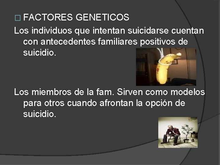 � FACTORES GENETICOS Los individuos que intentan suicidarse cuentan con antecedentes familiares positivos de