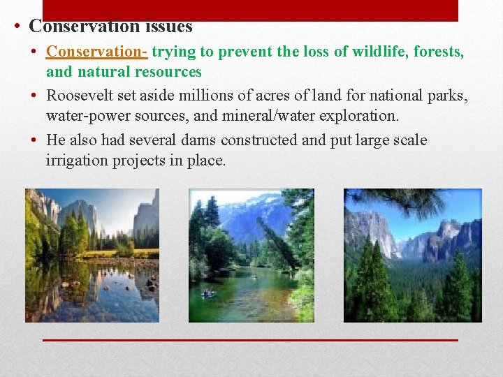  • Conservation issues • Conservation- trying to prevent the loss of wildlife, forests,