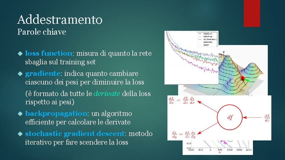 Addestramento Parole chiave loss function: function misura di quanto la rete sbaglia sul training