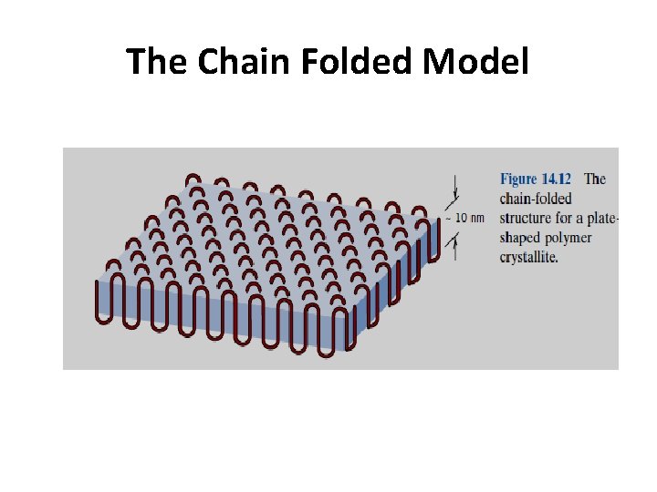 The Chain Folded Model 