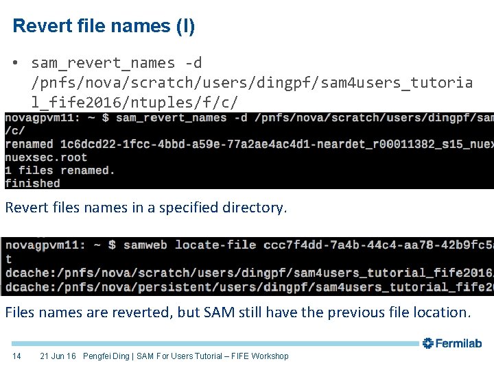 Revert file names (I) • sam_revert_names -d /pnfs/nova/scratch/users/dingpf/sam 4 users_tutoria l_fife 2016/ntuples/f/c/ Revert files