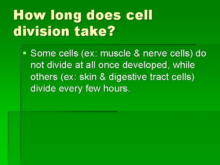 How long does cell division take? § Some cells (ex: muscle & nerve cells)