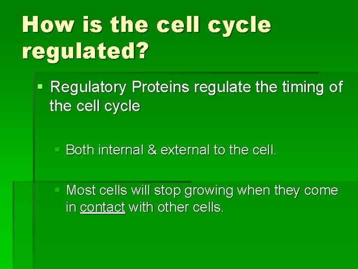 How is the cell cycle regulated? § Regulatory Proteins regulate the timing of the How is the cell cycle regulated? § Regulatory Proteins regulate the timing of the
