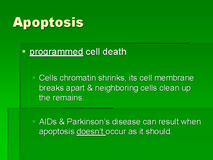 Apoptosis § programmed cell death § Cells chromatin shrinks, its cell membrane breaks apart