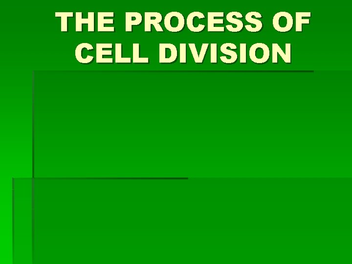 THE PROCESS OF CELL DIVISION 