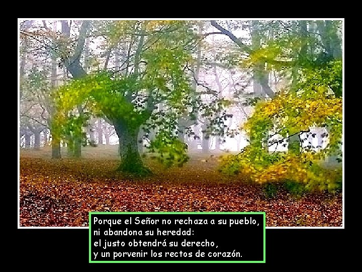 Porque el Señor no rechaza a su pueblo, ni abandona su heredad: el justo