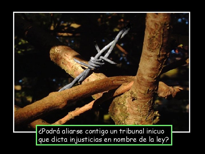 ¿Podrá aliarse contigo un tribunal inicuo que dicta injusticias en nombre de la ley?