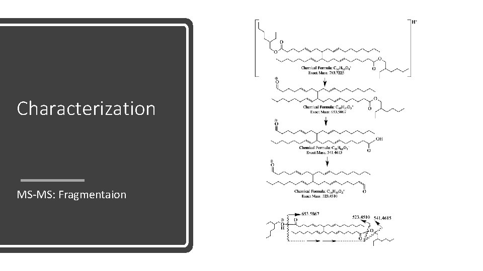 Characterization MS-MS: Fragmentaion 