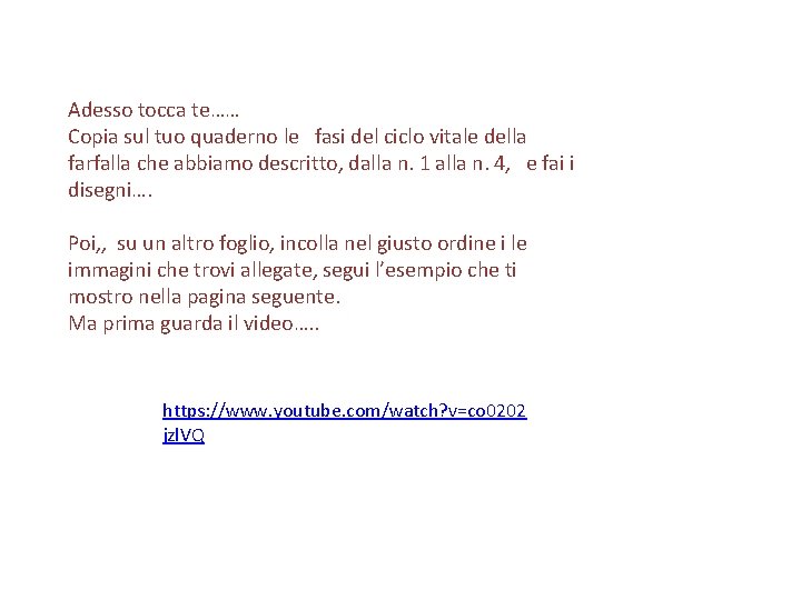 Adesso tocca te…… Copia sul tuo quaderno le fasi del ciclo vitale della farfalla