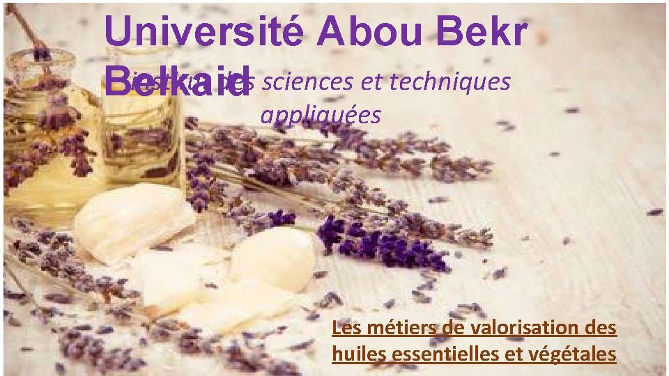 Université Abou Bekr institut des sciences et techniques Belkaid appliquées Les métiers de valorisation