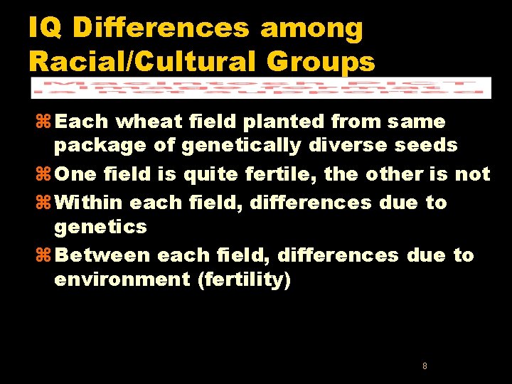 IQ Differences among Racial/Cultural Groups z Each wheat field planted from same package of