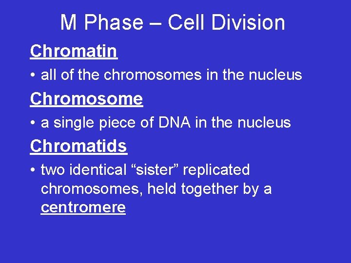 M Phase – Cell Division Chromatin • all of the chromosomes in the nucleus M Phase – Cell Division Chromatin • all of the chromosomes in the nucleus