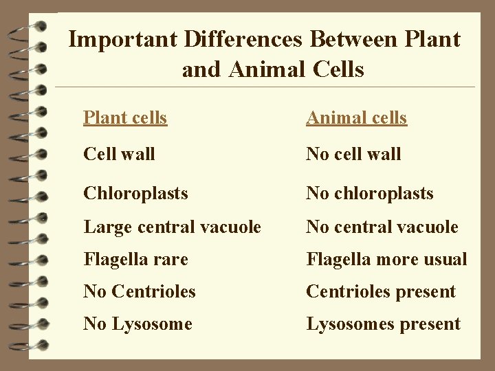 Important Differences Between Plant and Animal Cells Plant cells Animal cells Cell wall No Important Differences Between Plant and Animal Cells Plant cells Animal cells Cell wall No