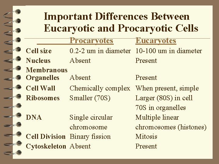 Important Differences Between Eucaryotic and Procaryotic Cells Procaryotes Cell size 0. 2 -2 um Important Differences Between Eucaryotic and Procaryotic Cells Procaryotes Cell size 0. 2 -2 um