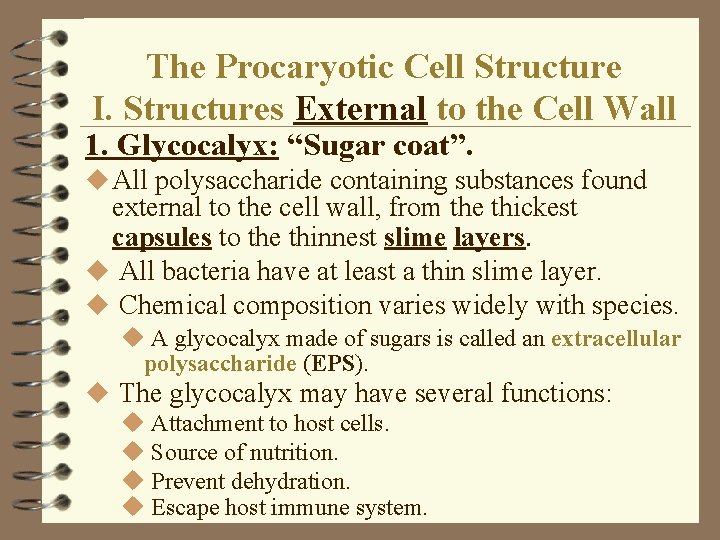The Procaryotic Cell Structure I. Structures External to the Cell Wall 1. Glycocalyx: “Sugar The Procaryotic Cell Structure I. Structures External to the Cell Wall 1. Glycocalyx: “Sugar