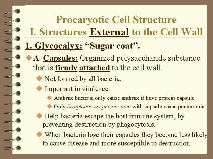 Procaryotic Cell Structure I. Structures External to the Cell Wall 1. Glycocalyx: “Sugar coat”. Procaryotic Cell Structure I. Structures External to the Cell Wall 1. Glycocalyx: “Sugar coat”.