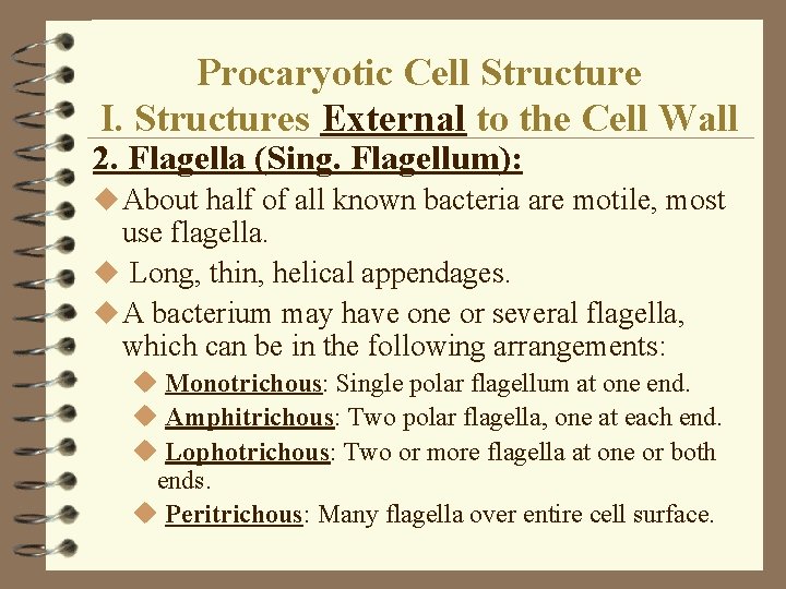 Procaryotic Cell Structure I. Structures External to the Cell Wall 2. Flagella (Sing. Flagellum): Procaryotic Cell Structure I. Structures External to the Cell Wall 2. Flagella (Sing. Flagellum):