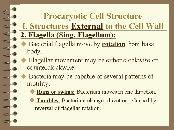 Procaryotic Cell Structure I. Structures External to the Cell Wall 2. Flagella (Sing. Flagellum): Procaryotic Cell Structure I. Structures External to the Cell Wall 2. Flagella (Sing. Flagellum):