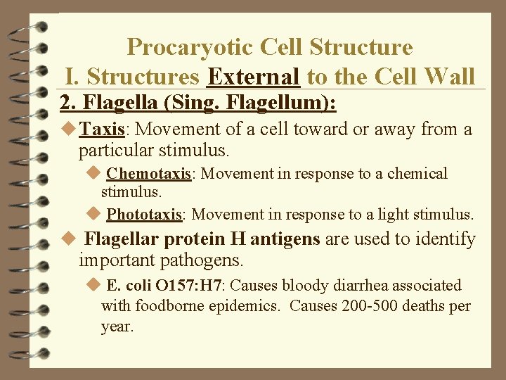 Procaryotic Cell Structure I. Structures External to the Cell Wall 2. Flagella (Sing. Flagellum): Procaryotic Cell Structure I. Structures External to the Cell Wall 2. Flagella (Sing. Flagellum):