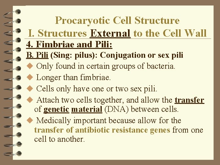 Procaryotic Cell Structure I. Structures External to the Cell Wall 4. Fimbriae and Pili: Procaryotic Cell Structure I. Structures External to the Cell Wall 4. Fimbriae and Pili: