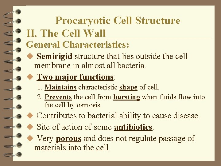 Procaryotic Cell Structure II. The Cell Wall General Characteristics: u Semirigid structure that lies Procaryotic Cell Structure II. The Cell Wall General Characteristics: u Semirigid structure that lies