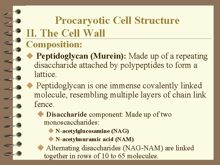 Procaryotic Cell Structure II. The Cell Wall Composition: u Peptidoglycan (Murein): Made up of Procaryotic Cell Structure II. The Cell Wall Composition: u Peptidoglycan (Murein): Made up of