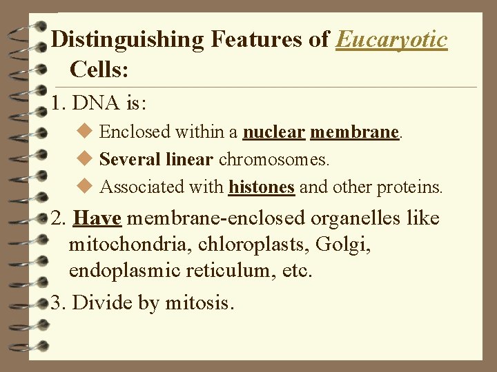 Distinguishing Features of Eucaryotic Cells: 1. DNA is: u Enclosed within a nuclear membrane. Distinguishing Features of Eucaryotic Cells: 1. DNA is: u Enclosed within a nuclear membrane.