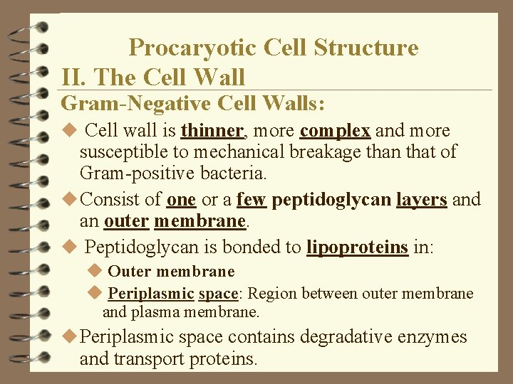 Procaryotic Cell Structure II. The Cell Wall Gram-Negative Cell Walls: u Cell wall is Procaryotic Cell Structure II. The Cell Wall Gram-Negative Cell Walls: u Cell wall is