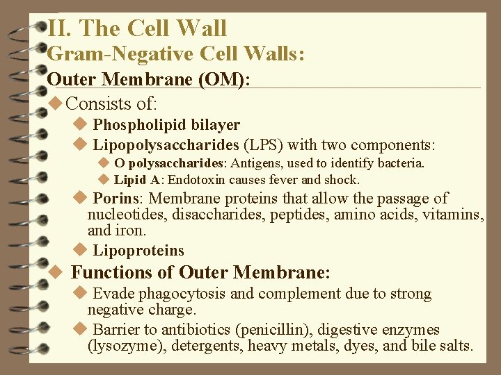 II. The Cell Wall Gram-Negative Cell Walls: Outer Membrane (OM): u Consists of: u II. The Cell Wall Gram-Negative Cell Walls: Outer Membrane (OM): u Consists of: u