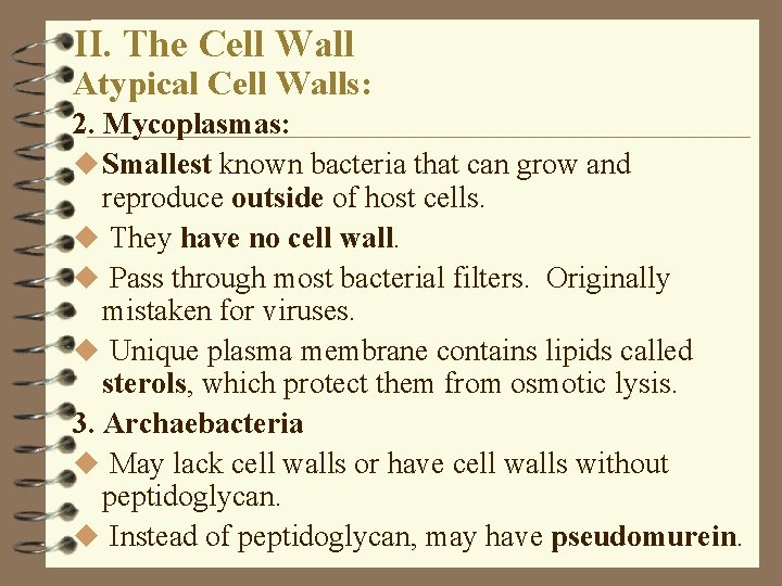 II. The Cell Wall Atypical Cell Walls: 2. Mycoplasmas: u Smallest known bacteria that II. The Cell Wall Atypical Cell Walls: 2. Mycoplasmas: u Smallest known bacteria that