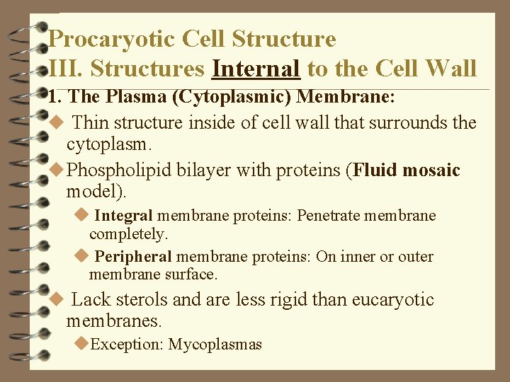 Procaryotic Cell Structure III. Structures Internal to the Cell Wall 1. The Plasma (Cytoplasmic) Procaryotic Cell Structure III. Structures Internal to the Cell Wall 1. The Plasma (Cytoplasmic)