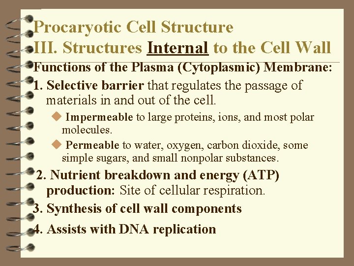 Procaryotic Cell Structure III. Structures Internal to the Cell Wall Functions of the Plasma Procaryotic Cell Structure III. Structures Internal to the Cell Wall Functions of the Plasma