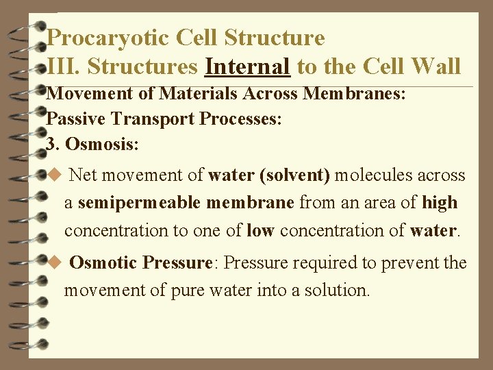 Procaryotic Cell Structure III. Structures Internal to the Cell Wall Movement of Materials Across Procaryotic Cell Structure III. Structures Internal to the Cell Wall Movement of Materials Across