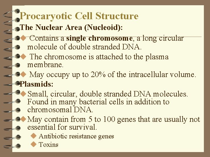 Procaryotic Cell Structure The Nuclear Area (Nucleoid): u Contains a single chromosome, a long Procaryotic Cell Structure The Nuclear Area (Nucleoid): u Contains a single chromosome, a long