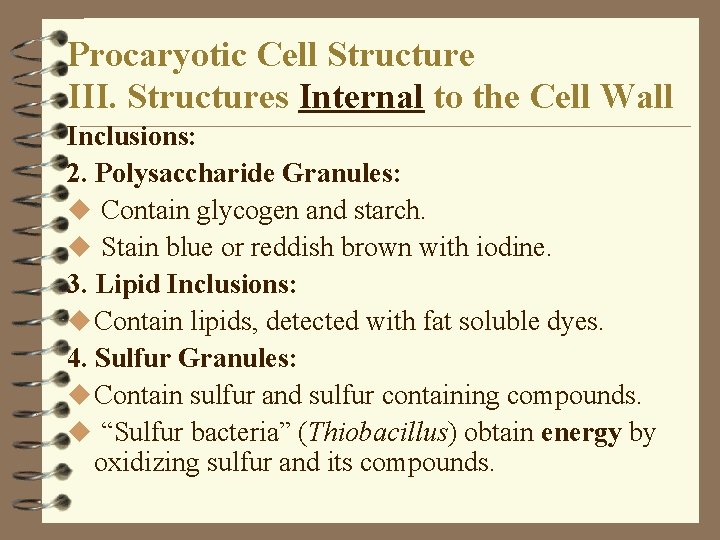 Procaryotic Cell Structure III. Structures Internal to the Cell Wall Inclusions: 2. Polysaccharide Granules: Procaryotic Cell Structure III. Structures Internal to the Cell Wall Inclusions: 2. Polysaccharide Granules: