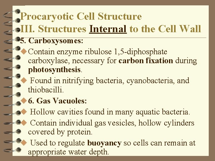 Procaryotic Cell Structure III. Structures Internal to the Cell Wall 5. Carboxysomes: u Contain Procaryotic Cell Structure III. Structures Internal to the Cell Wall 5. Carboxysomes: u Contain
