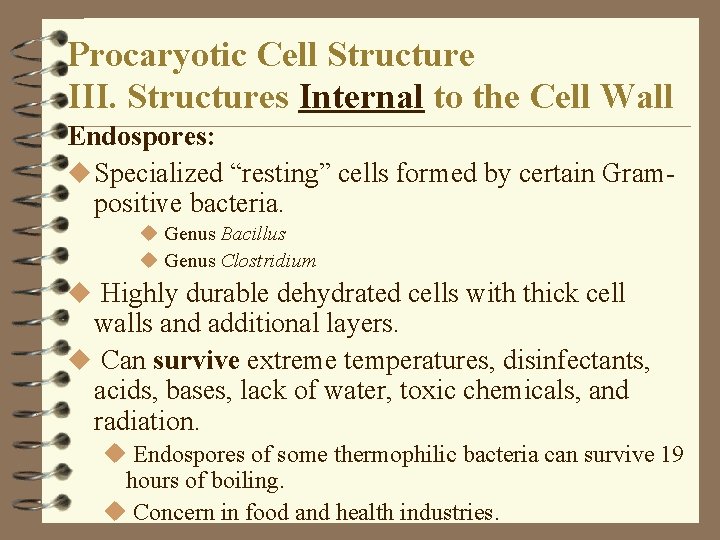 Procaryotic Cell Structure III. Structures Internal to the Cell Wall Endospores: u Specialized “resting” Procaryotic Cell Structure III. Structures Internal to the Cell Wall Endospores: u Specialized “resting”