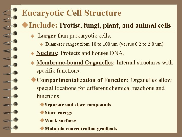 Eucaryotic Cell Structure u. Include: Protist, fungi, plant, and animal cells u Larger than Eucaryotic Cell Structure u. Include: Protist, fungi, plant, and animal cells u Larger than