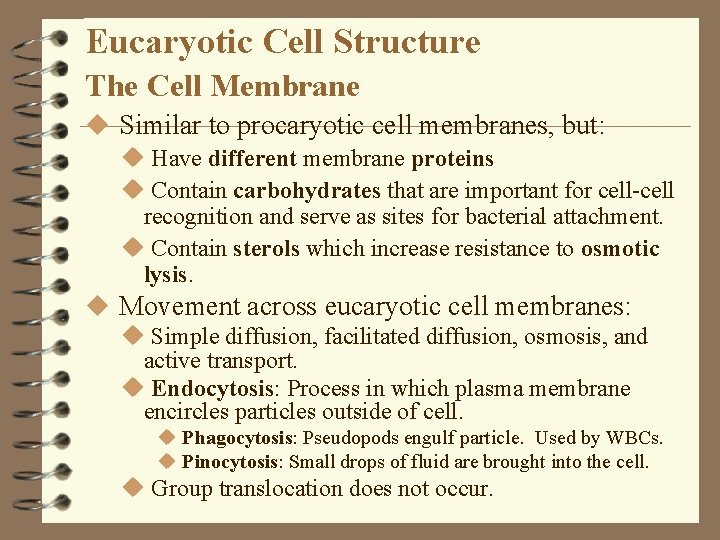 Eucaryotic Cell Structure The Cell Membrane u Similar to procaryotic cell membranes, but: u Eucaryotic Cell Structure The Cell Membrane u Similar to procaryotic cell membranes, but: u