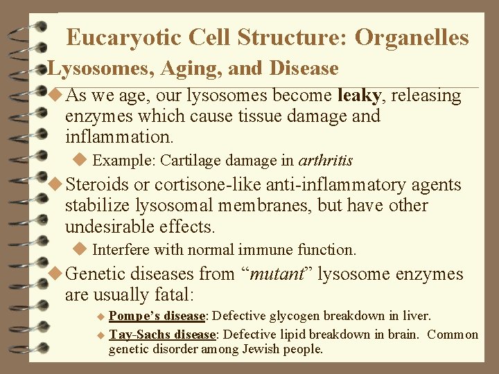 Eucaryotic Cell Structure: Organelles Lysosomes, Aging, and Disease u As we age, our lysosomes Eucaryotic Cell Structure: Organelles Lysosomes, Aging, and Disease u As we age, our lysosomes