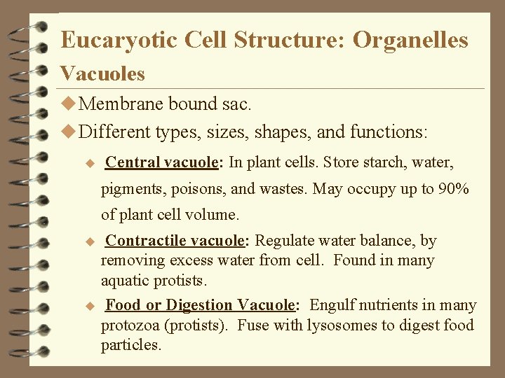 Eucaryotic Cell Structure: Organelles Vacuoles u Membrane bound sac. u Different types, sizes, shapes, Eucaryotic Cell Structure: Organelles Vacuoles u Membrane bound sac. u Different types, sizes, shapes,