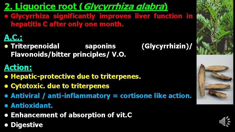 2. Liquorice root (Glycyrrhiza glabra) l Glycyrrhiza significantly improves liver function in hepatitis C
