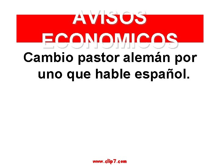 AVISOS ECONOMICOS Cambio pastor alemán por uno que hable español. www. clip 7. com