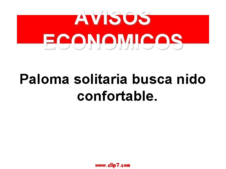 AVISOS ECONOMICOS Paloma solitaria busca nido confortable. www. clip 7. com 
