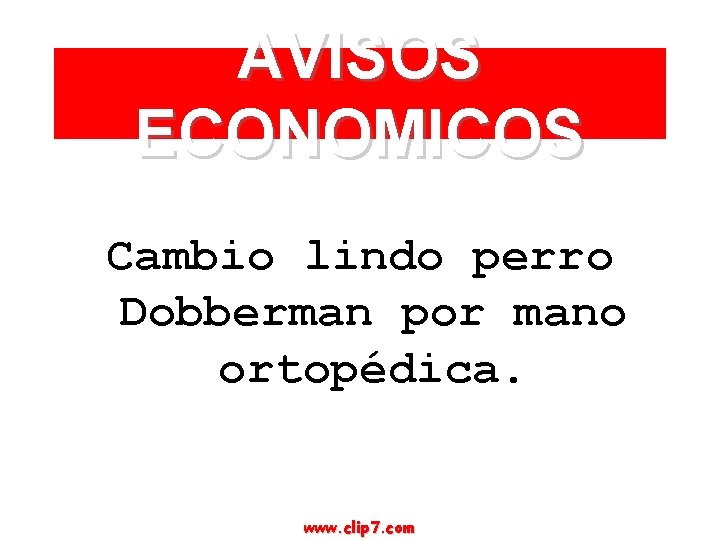 AVISOS ECONOMICOS Cambio lindo perro Dobberman por mano ortopédica. www. clip 7. com 