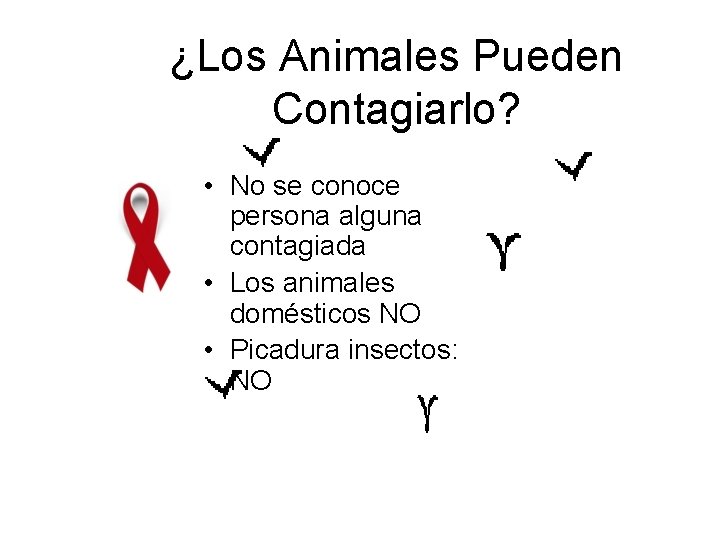 ¿Los Animales Pueden Contagiarlo? • No se conoce persona alguna contagiada • Los animales