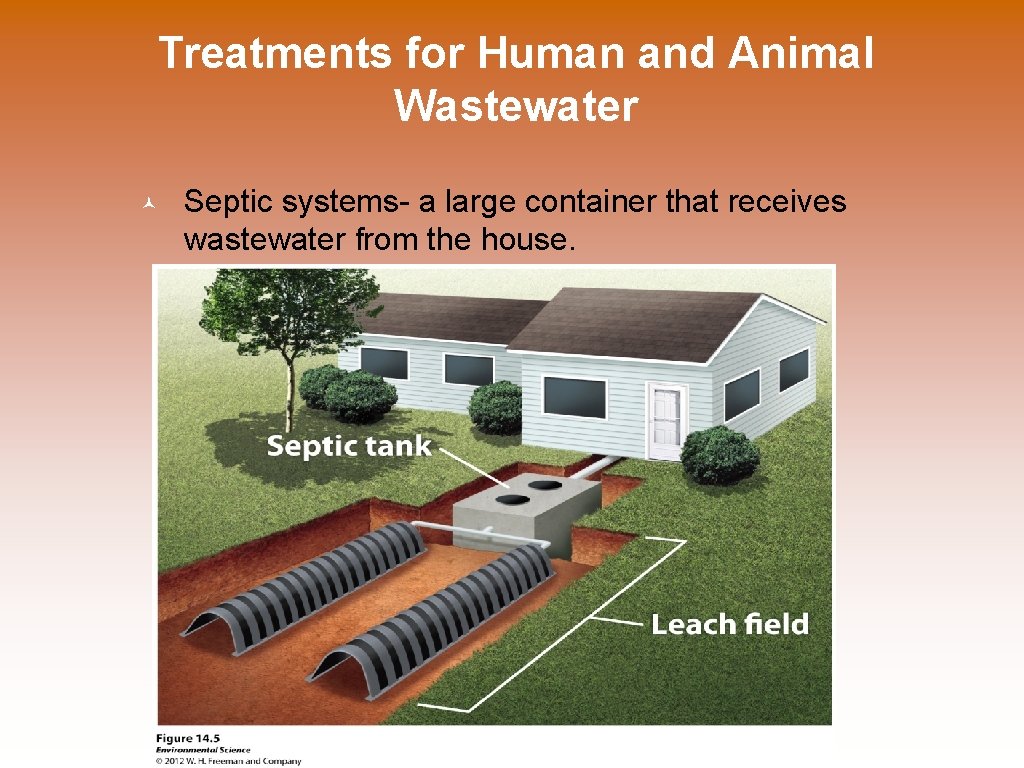 Treatments for Human and Animal Wastewater © Septic systems- a large container that receives