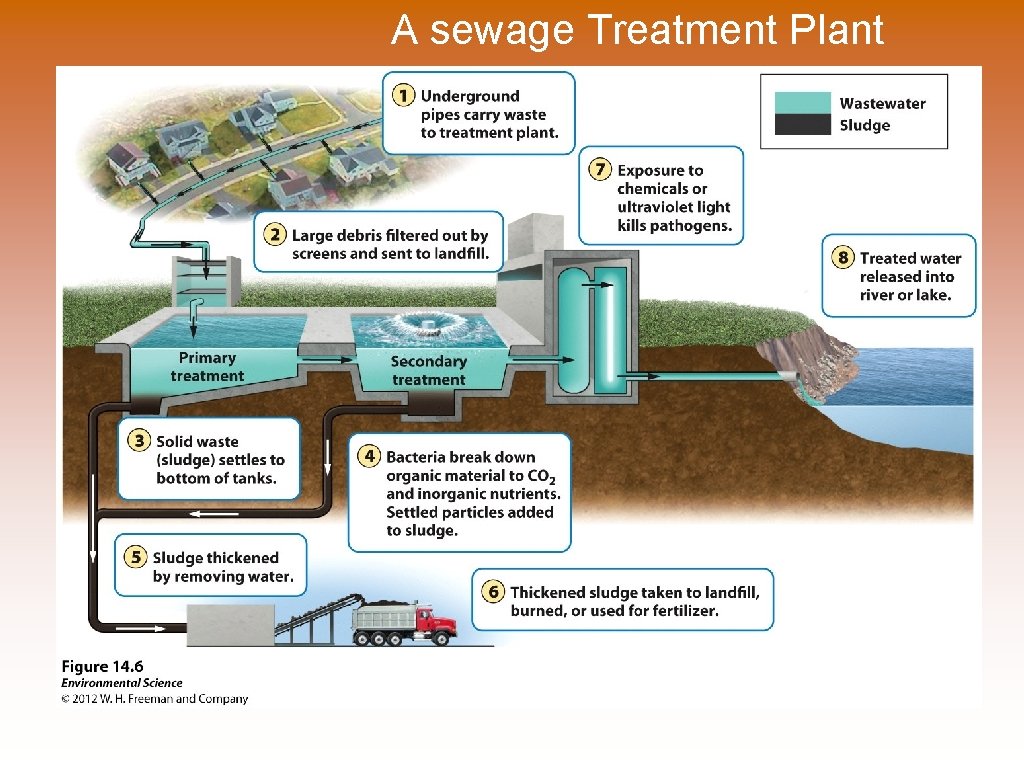 A sewage Treatment Plant 