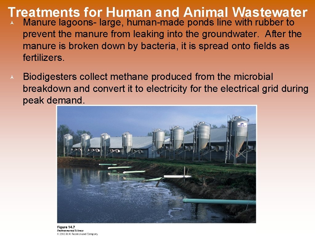 Treatments for Human and Animal Wastewater © Manure lagoons- large, human-made ponds line with